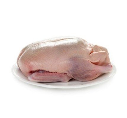 Flugente frisch klein