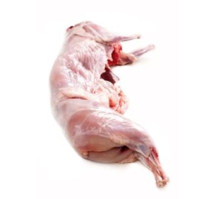 Kaninchen eingefroren