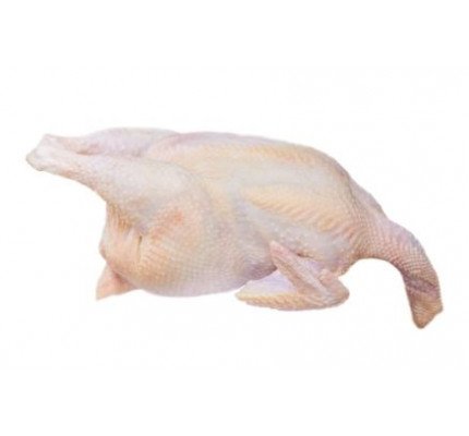 Suppenhuhn eingefroren